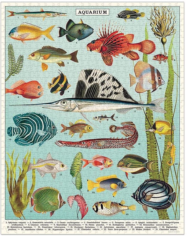 פאזל דגים (Aquarium) וינטג' 1,000 חלקים