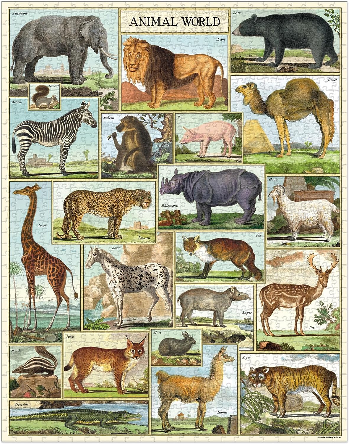 פאזל עולם החיות Animal World וינטג' 1,000 חלקים