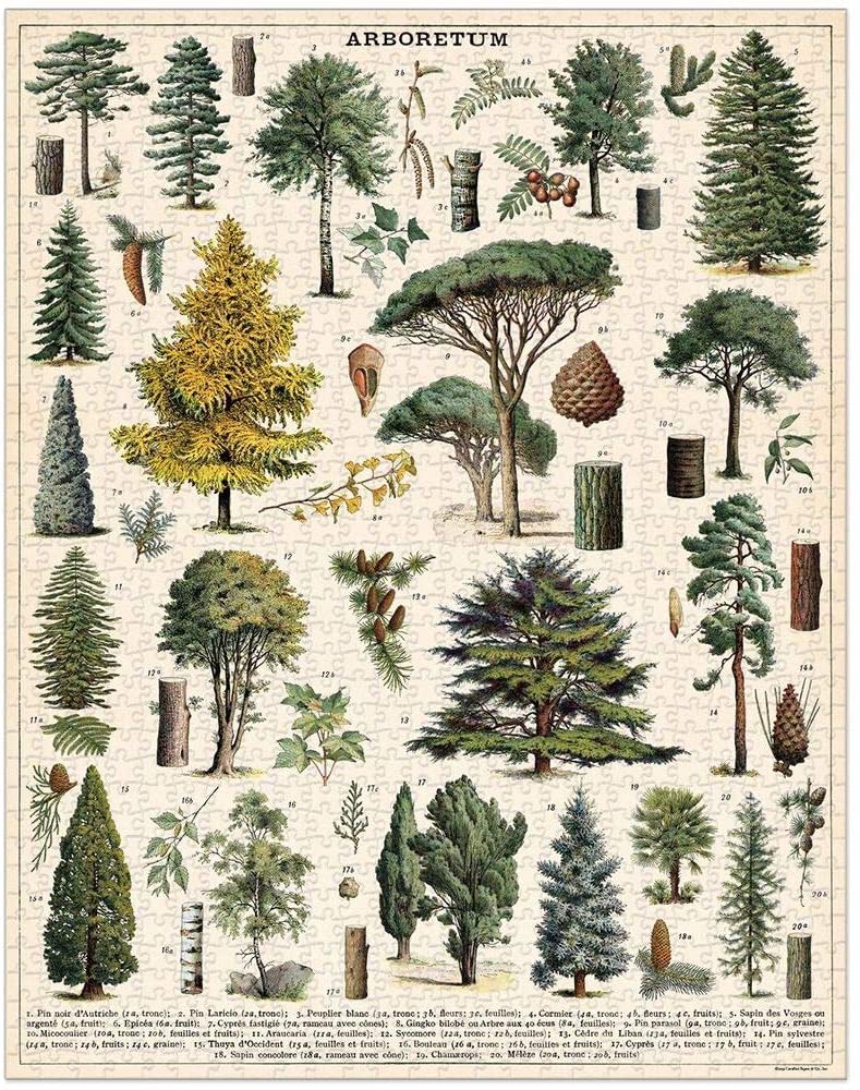 פאזל עצים (Arboretum) וינטג' 1,000 חלקים