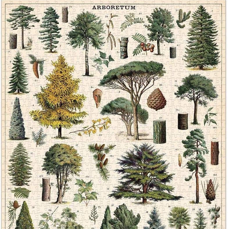 פאזל עצים (Arboretum) וינטג' 1,000 חלקים