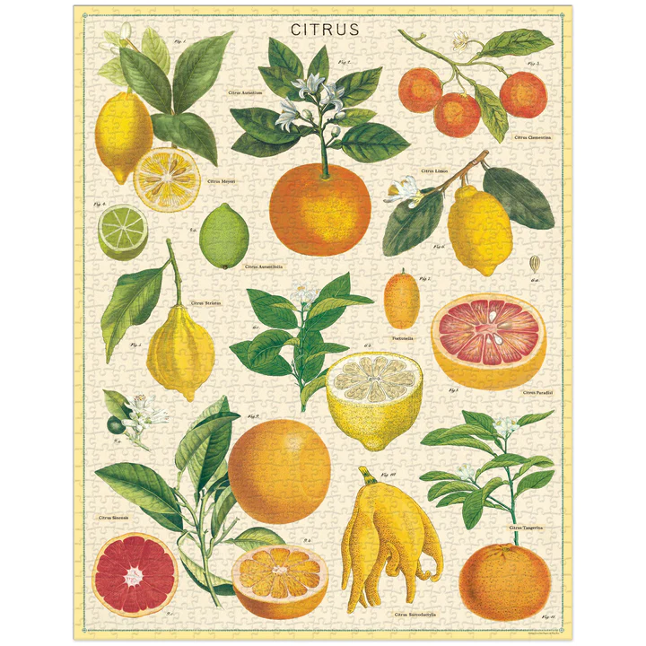 פאזל פירות הדר Citrus וינטג' 1,000 חלקים