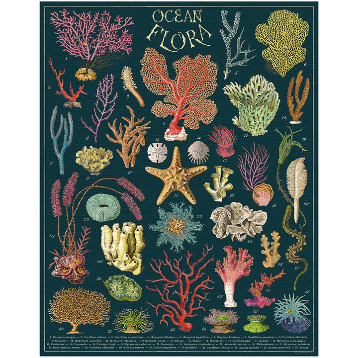 פאזל צמחי אוקיינוס וינטג' 1,000 חלקים  Ocean Flora