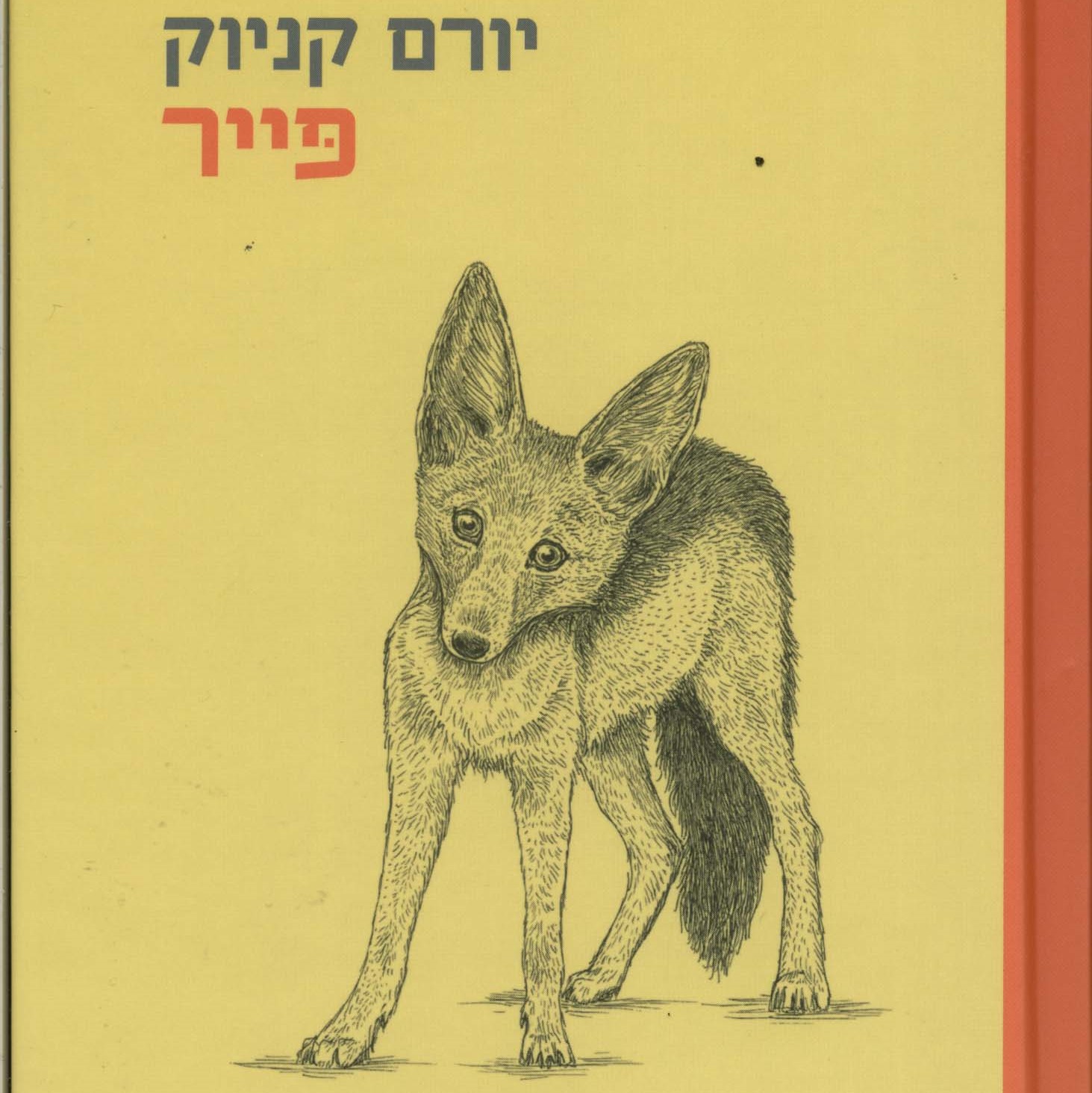 פייר