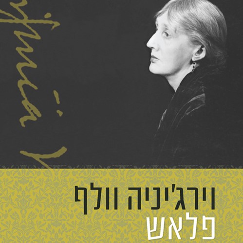 פלאש