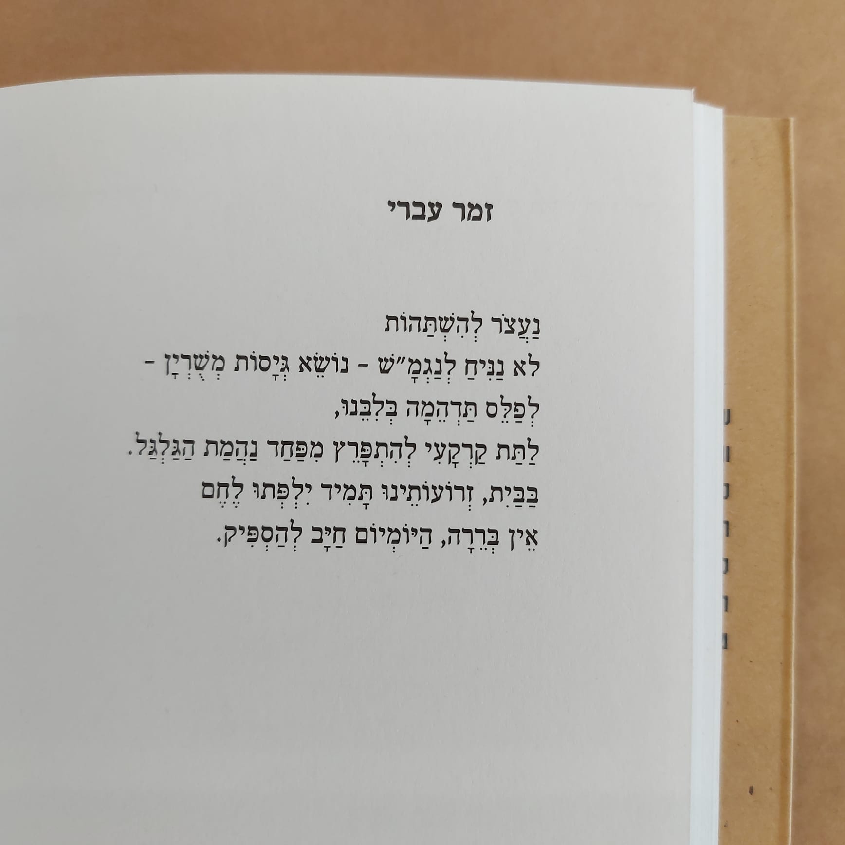 פלשתינה אי