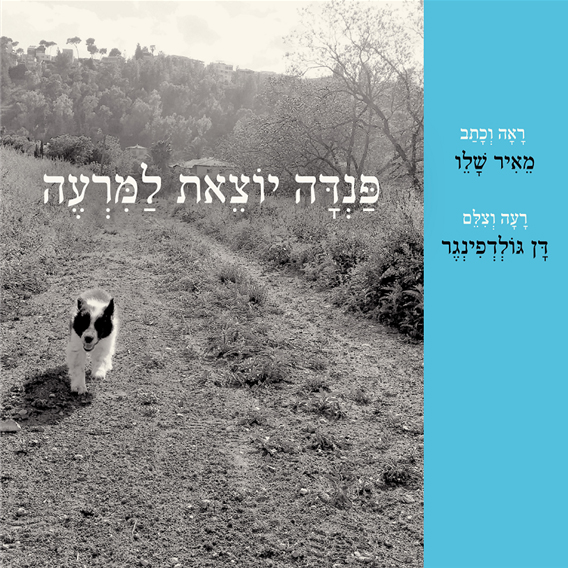 פנדה יוצאת למרעה