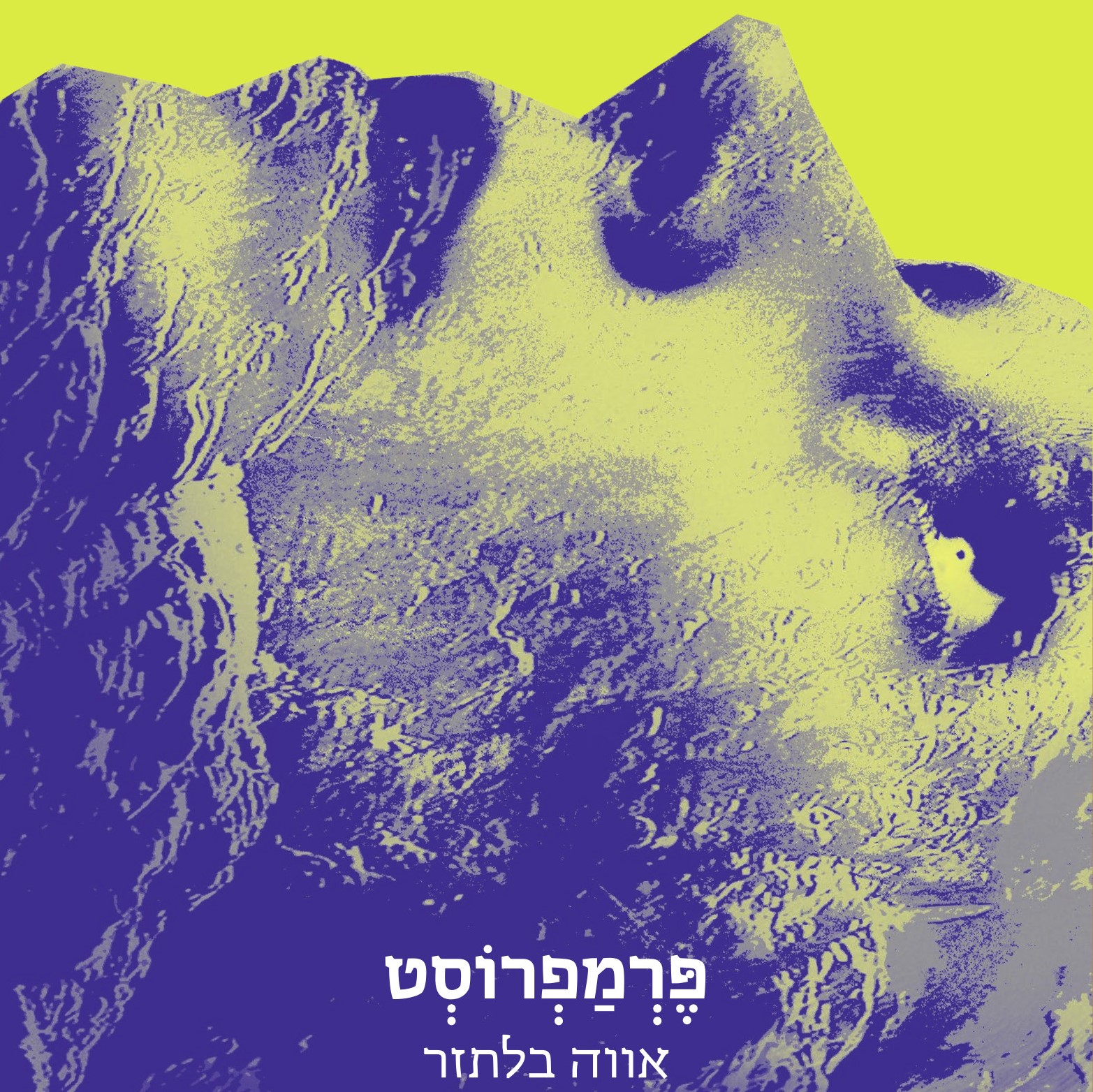 פרמפרוסט