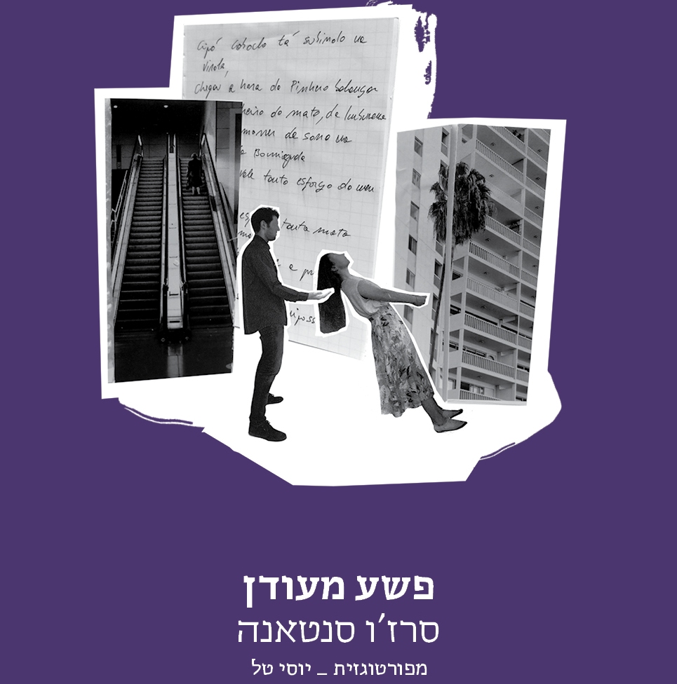 פשע מעודן