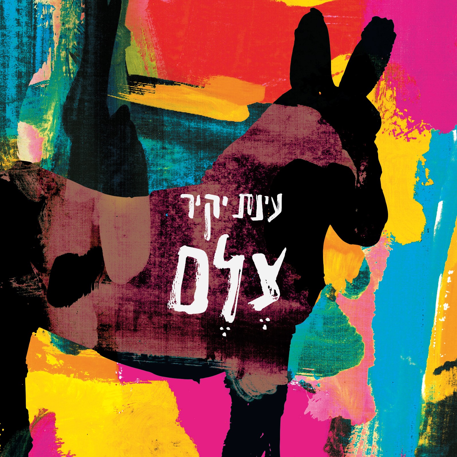 צלם