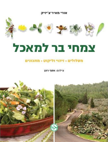 צמחי בר למאכל