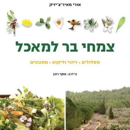 צמחי בר למאכל