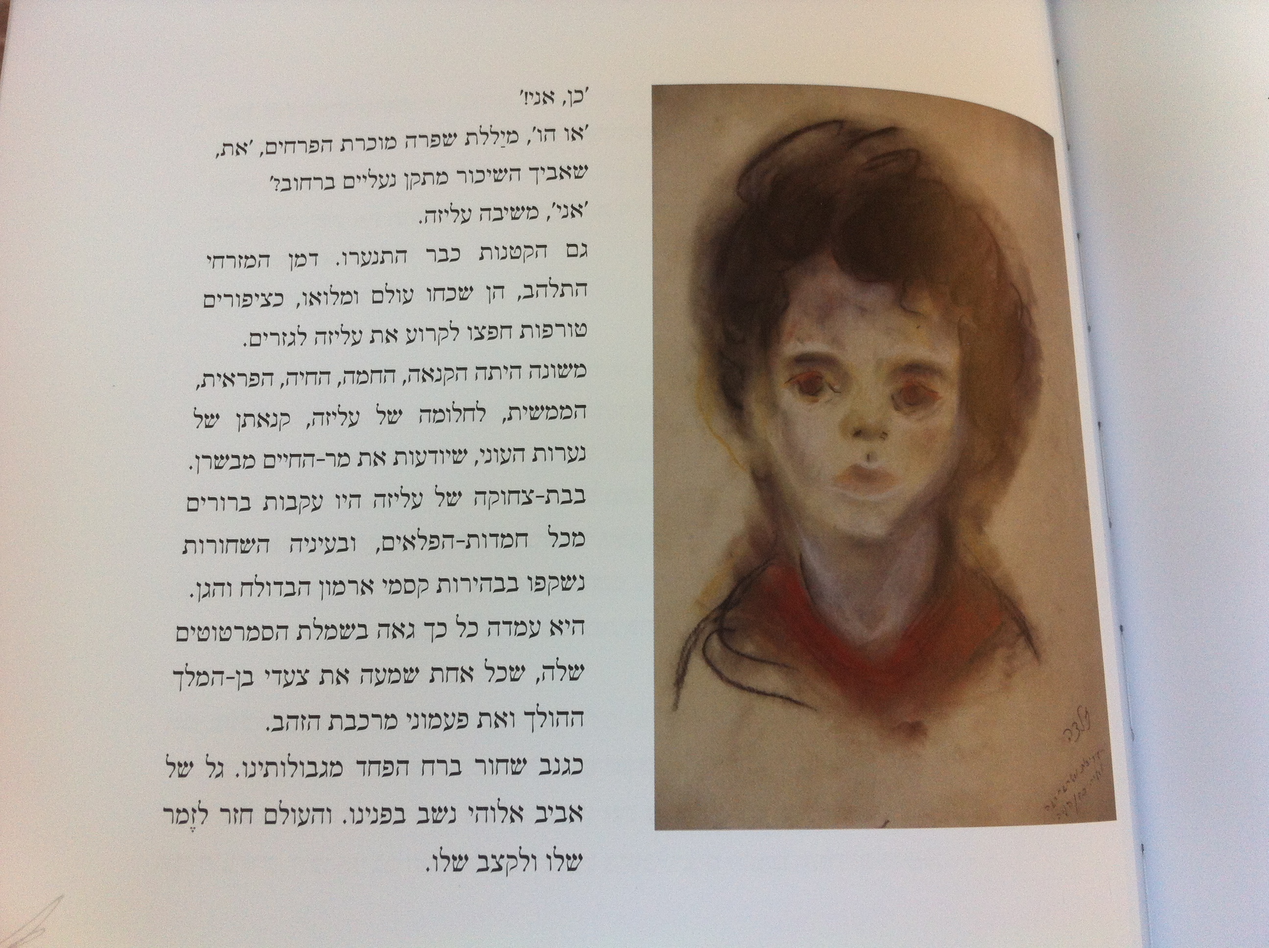 ציפור אחוזת קסם - זלדה כתבים וציורים