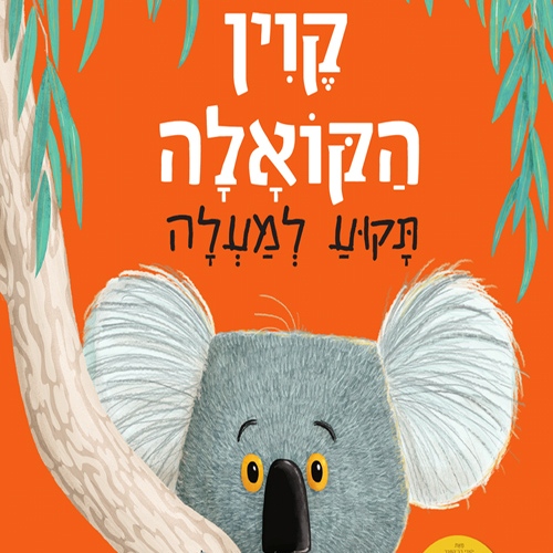 קוין הקואלה תקוע למעלה