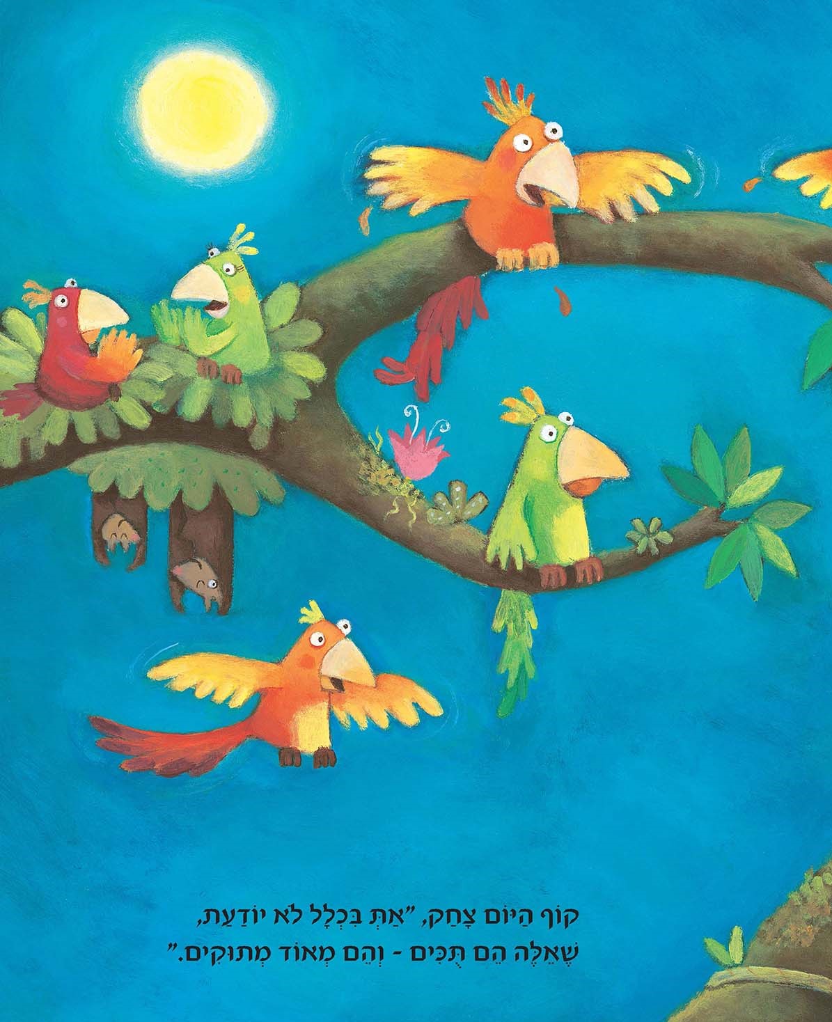 קוף היום וקופת הלילה