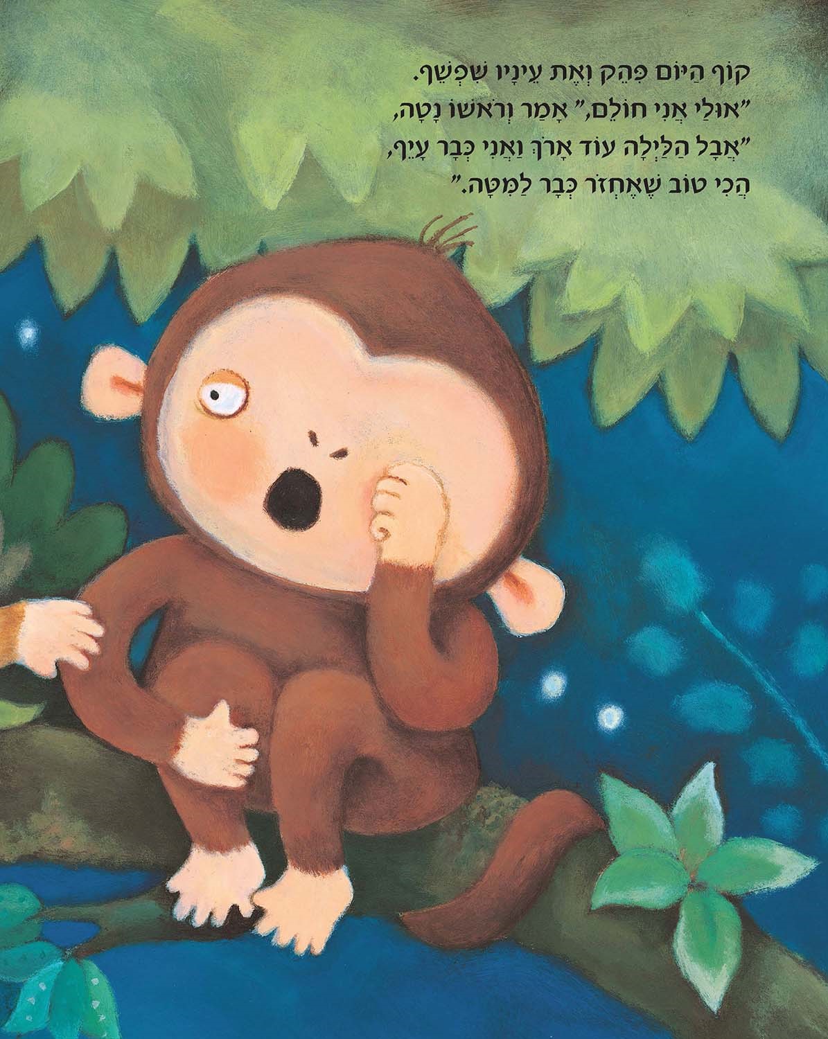 קוף היום וקופת הלילה