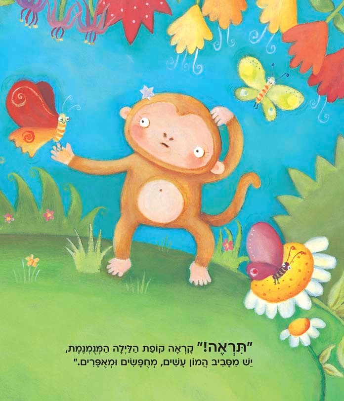 קוף היום וקופת הלילה