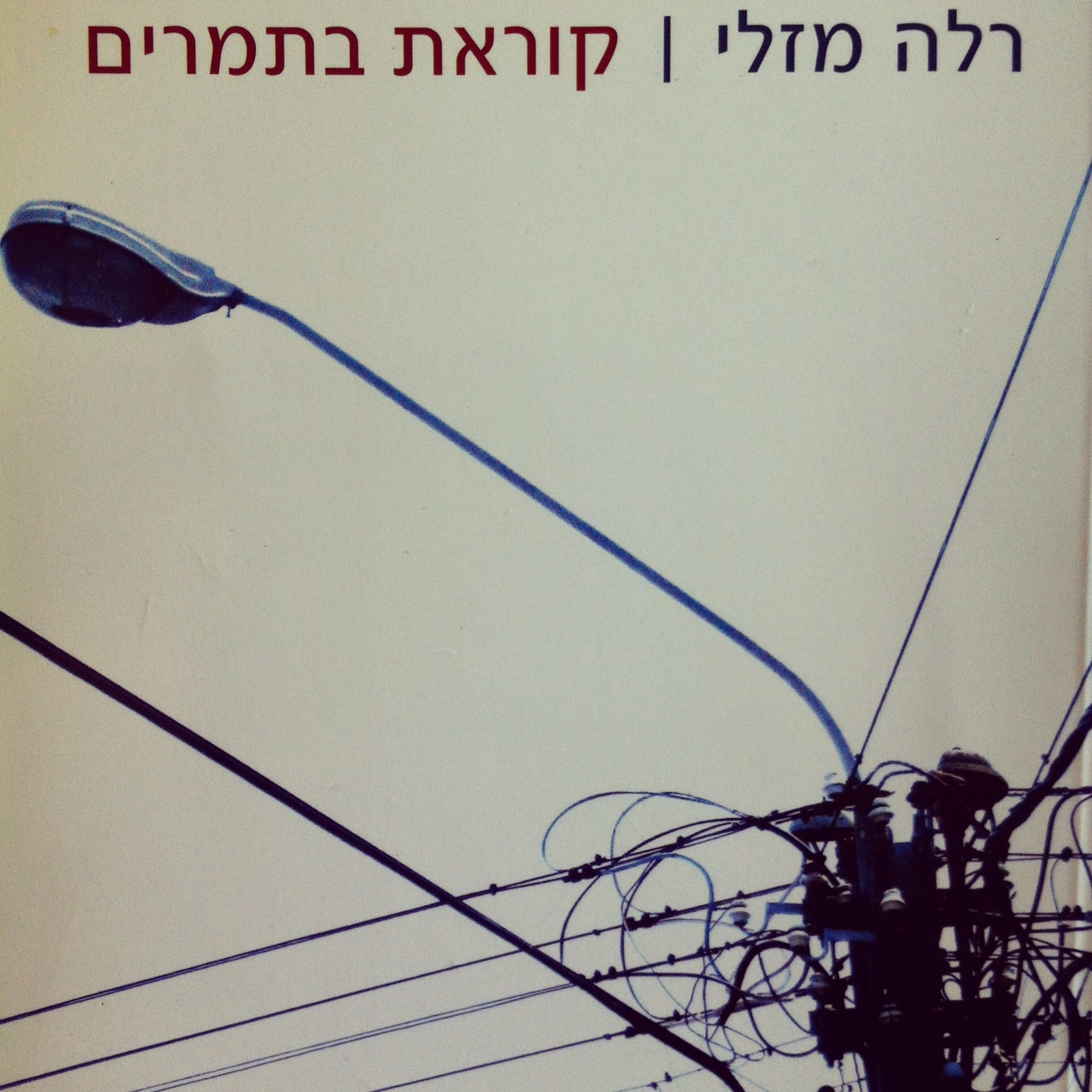 קוראת בתמרים