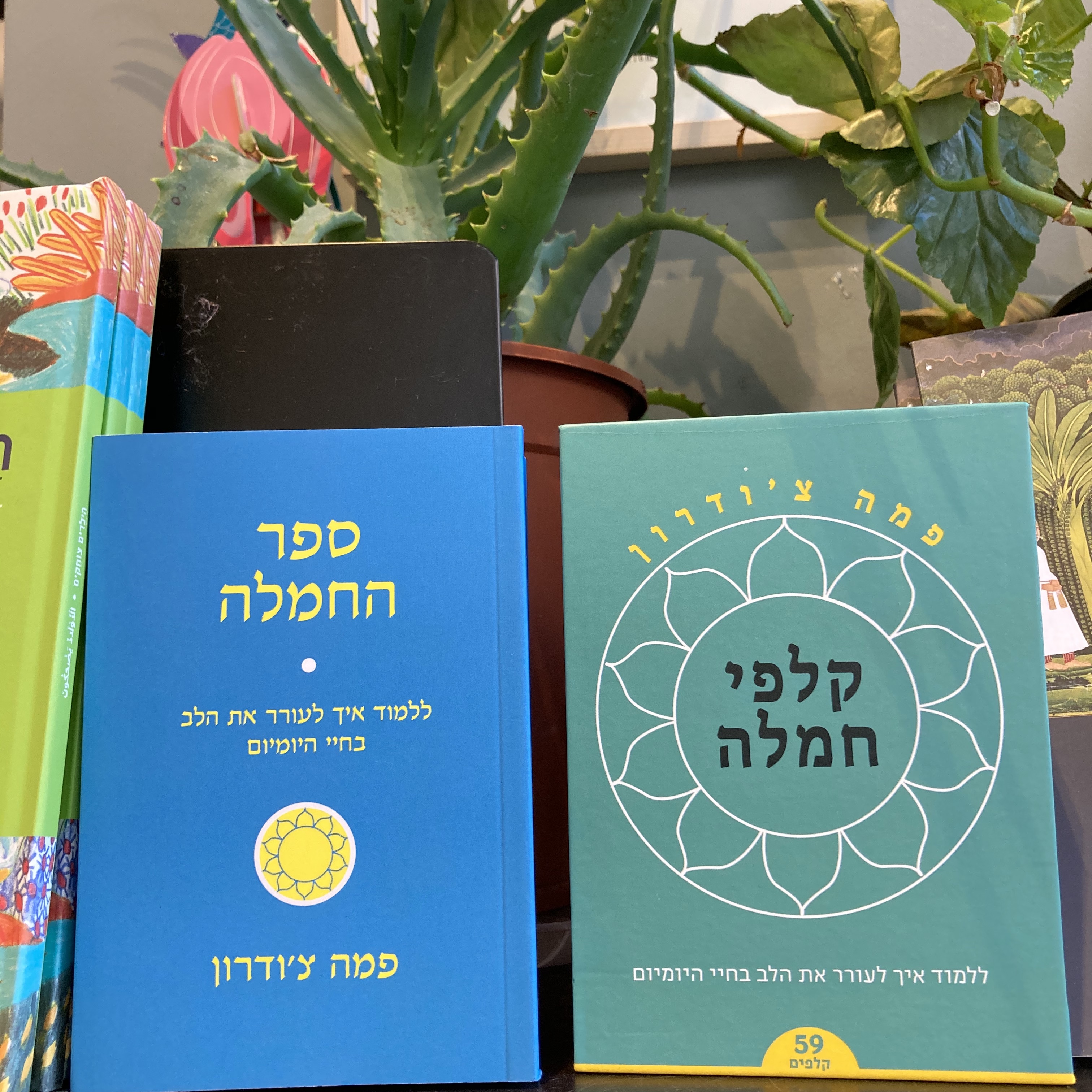 קלפי חמלה פמה צ'ודרון