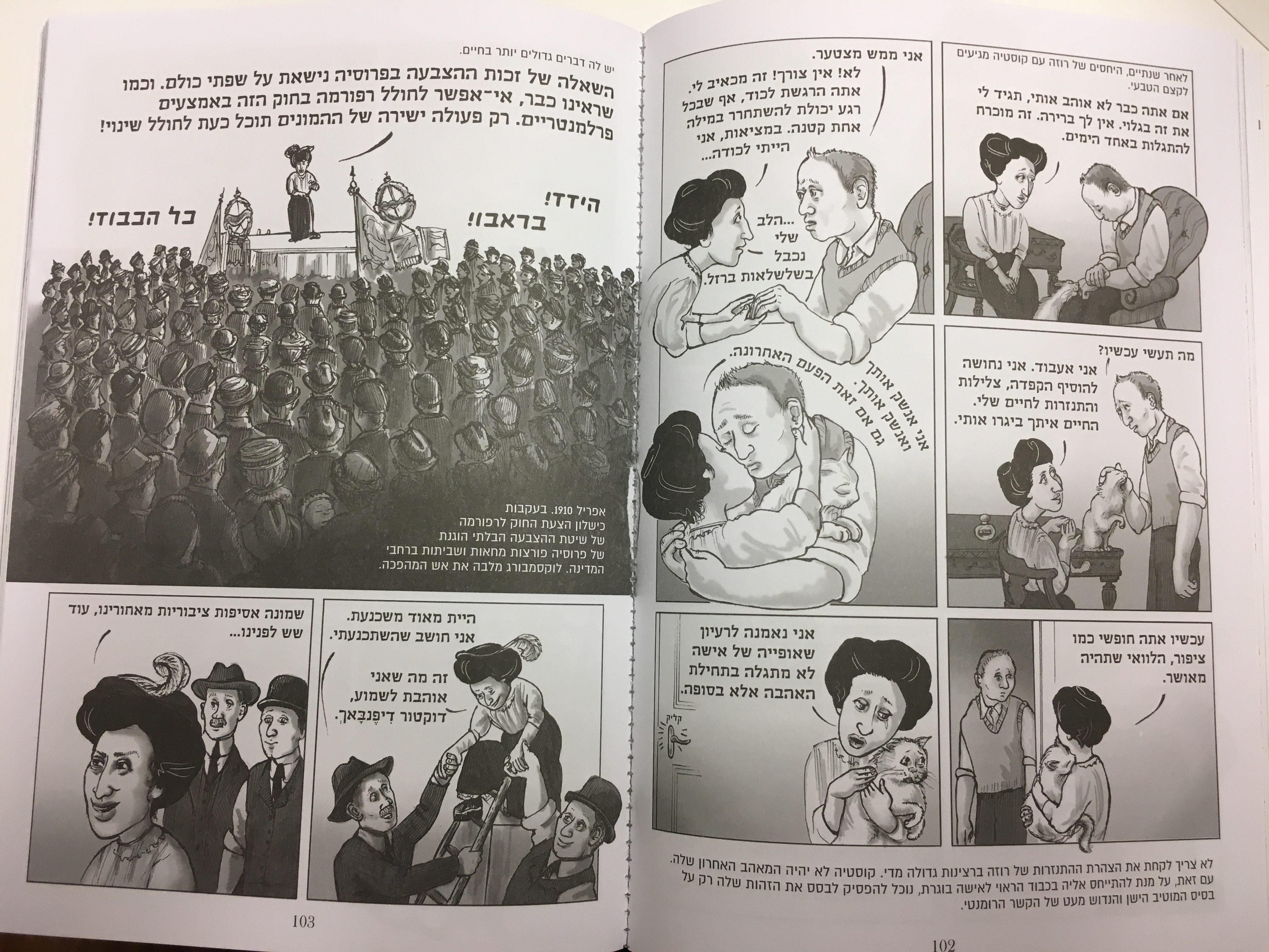 רוזה האדומה - ביוגרפיה גרפית של רוזה לוקסמבורג