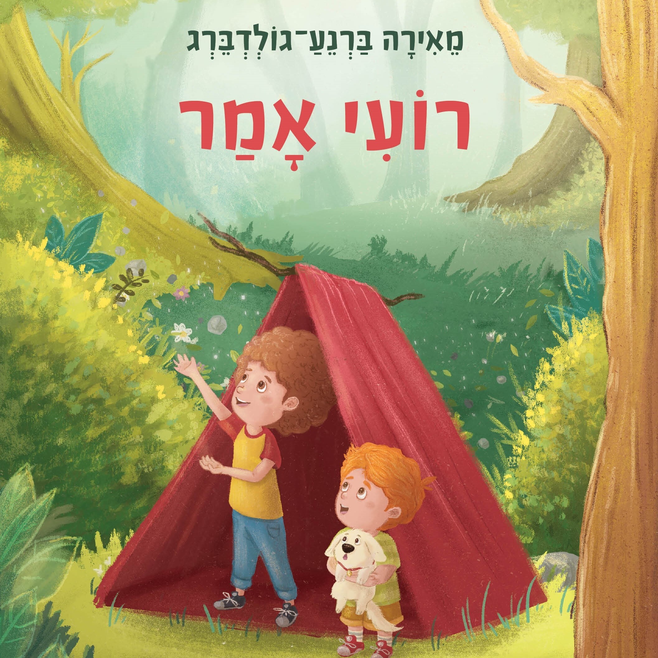 רועי אמר