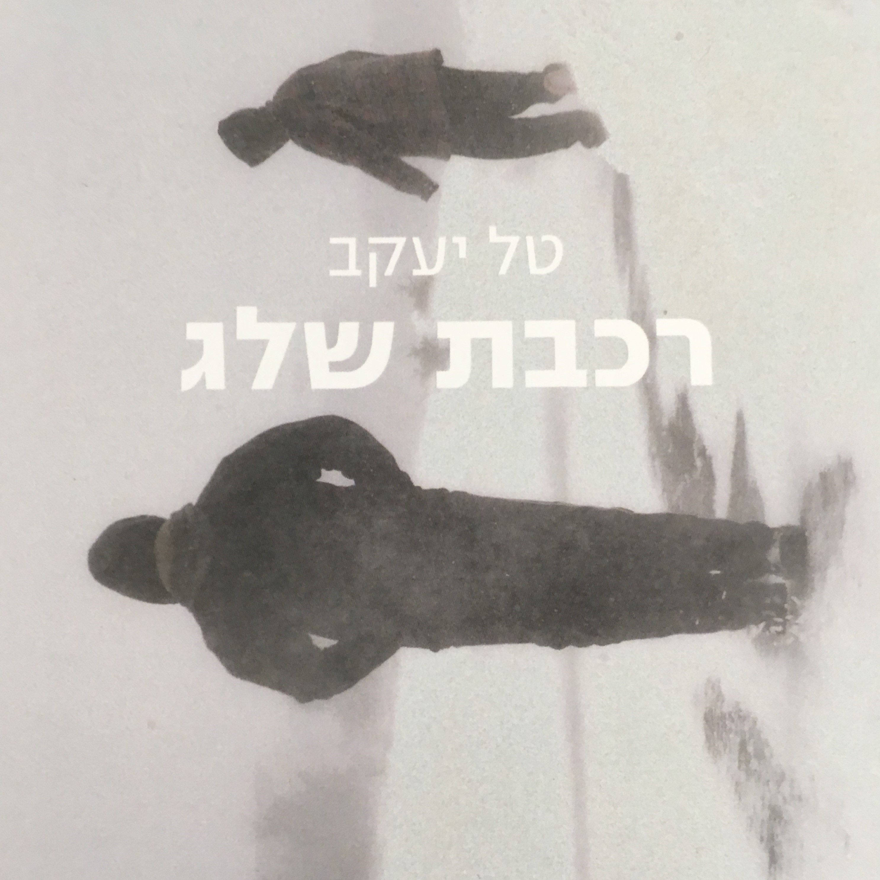 רכבת שלג