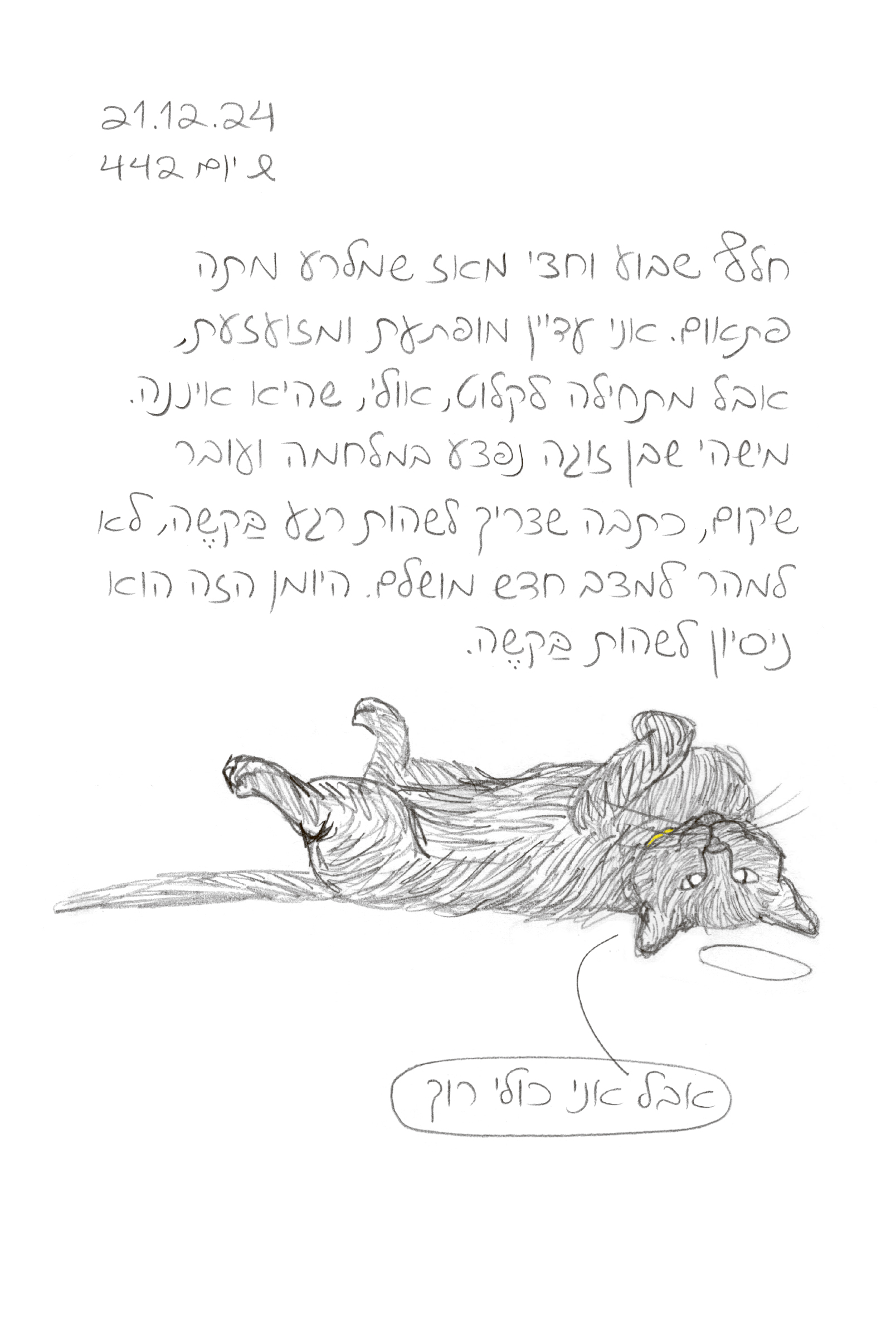 רע בלי מלרע - יומן אבל