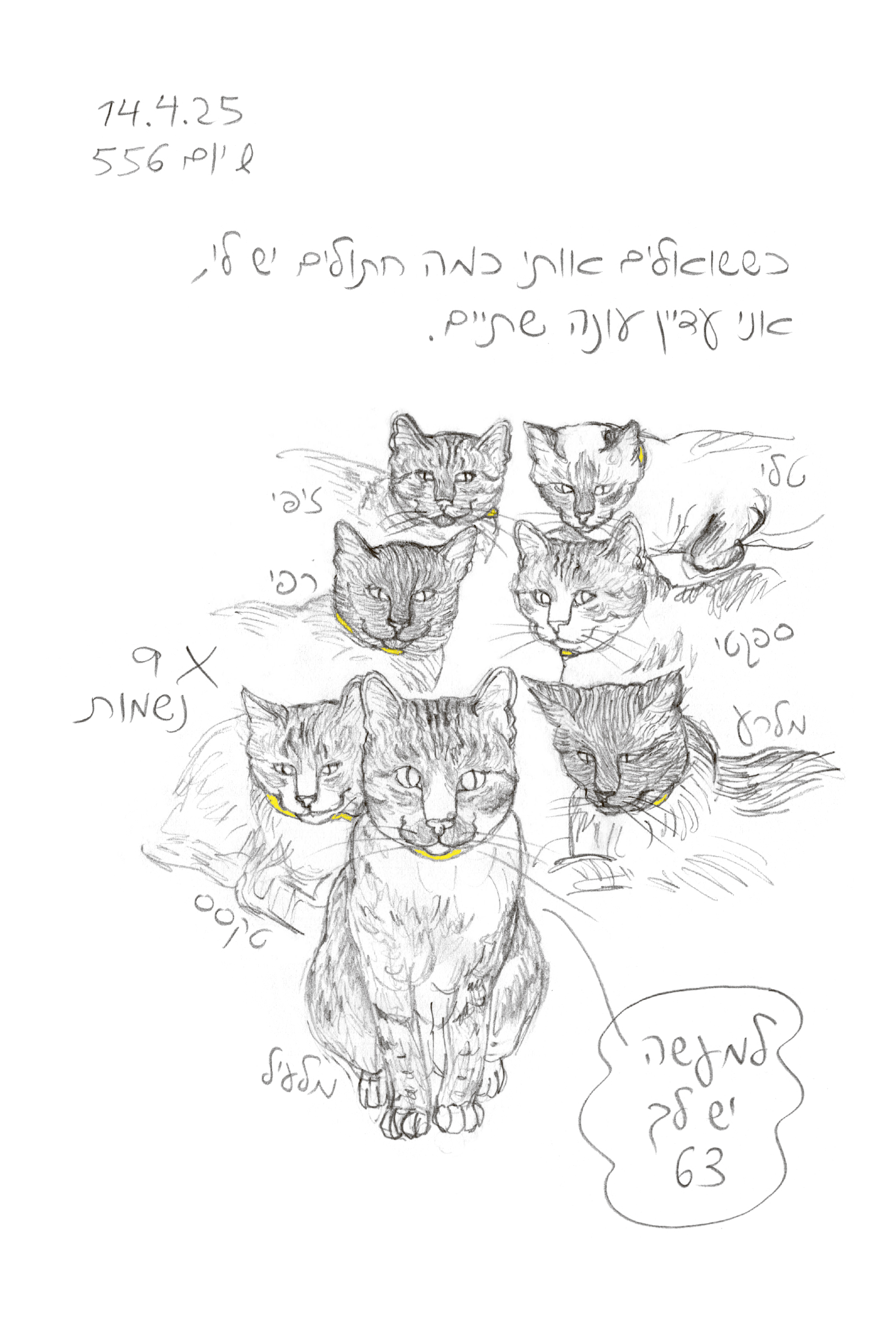 רע בלי מלרע - יומן אבל