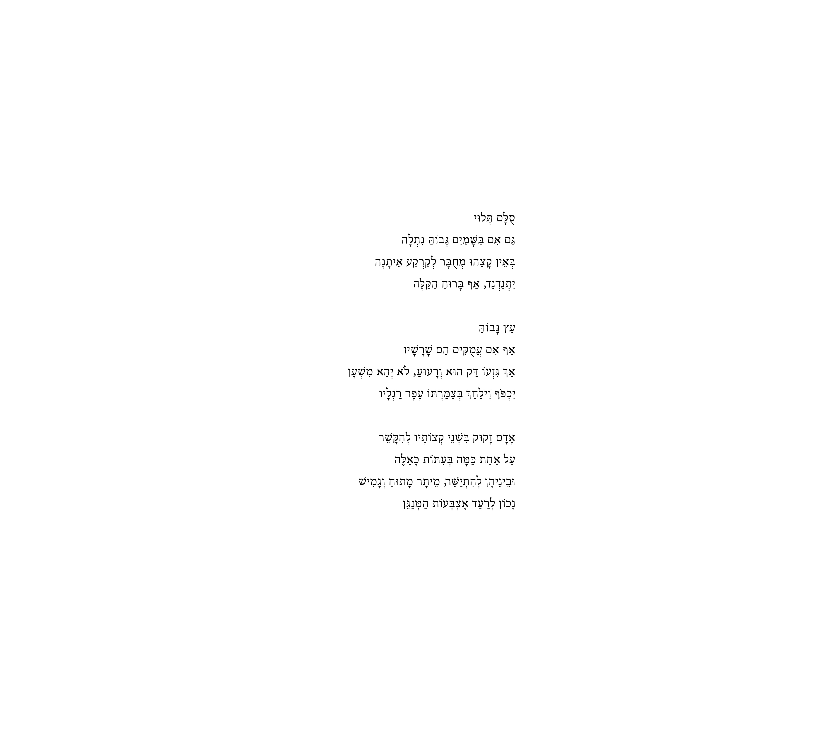 רשמים| שחר