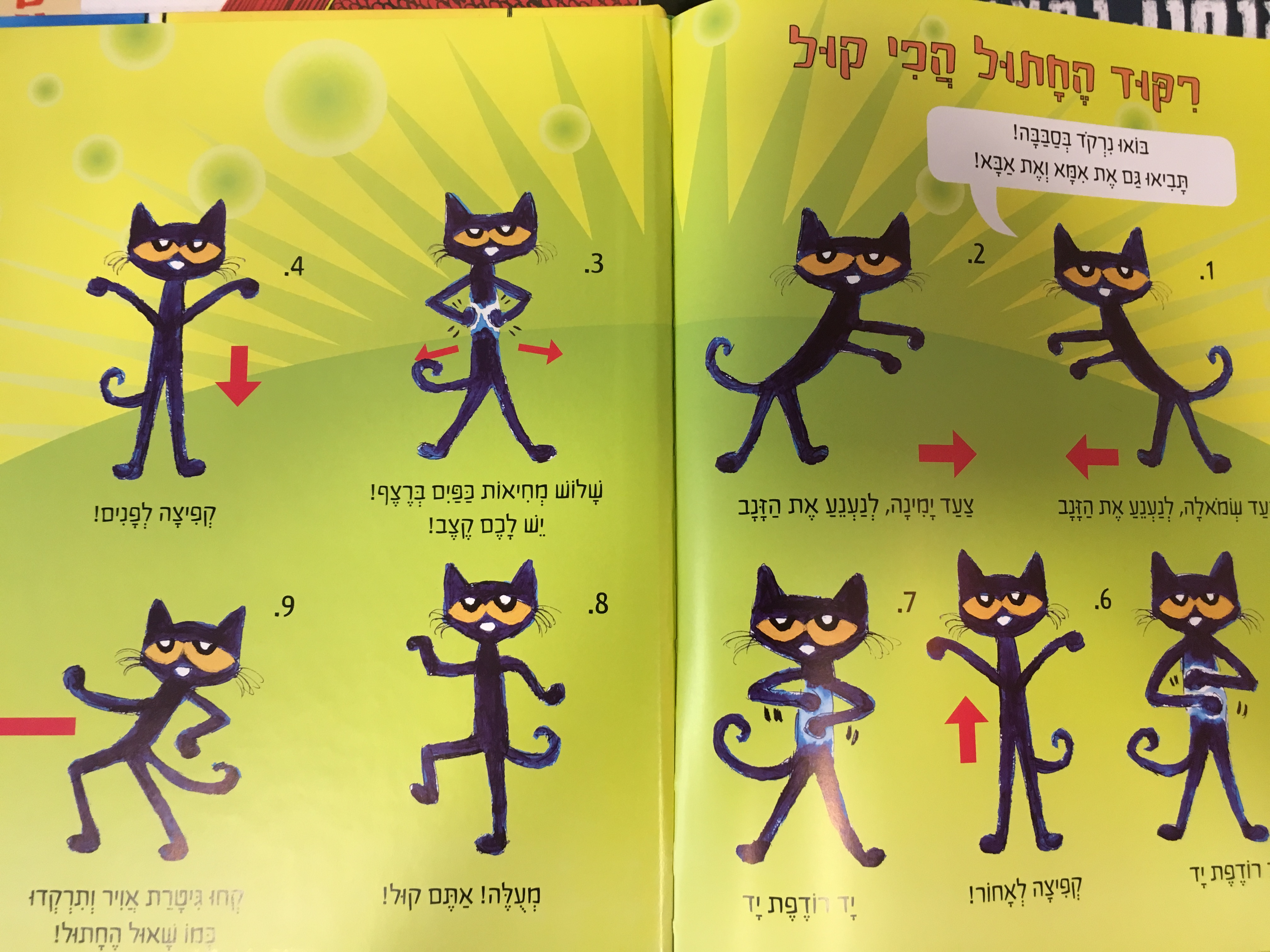 שאול החתול והריקוד הכי קול