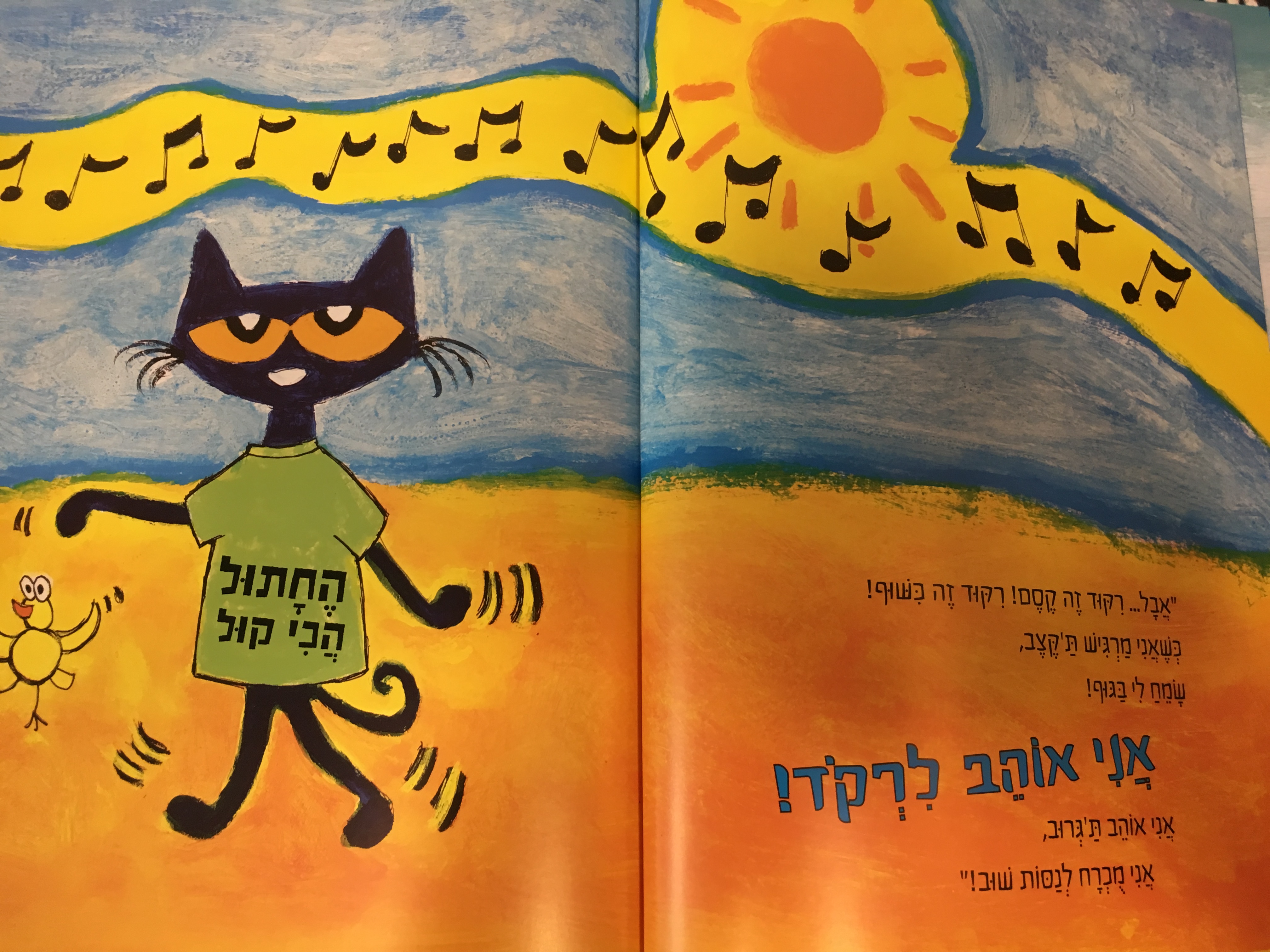 שאול החתול והריקוד הכי קול