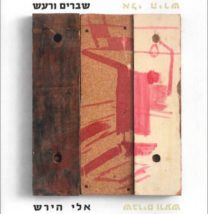 שברים ורעש