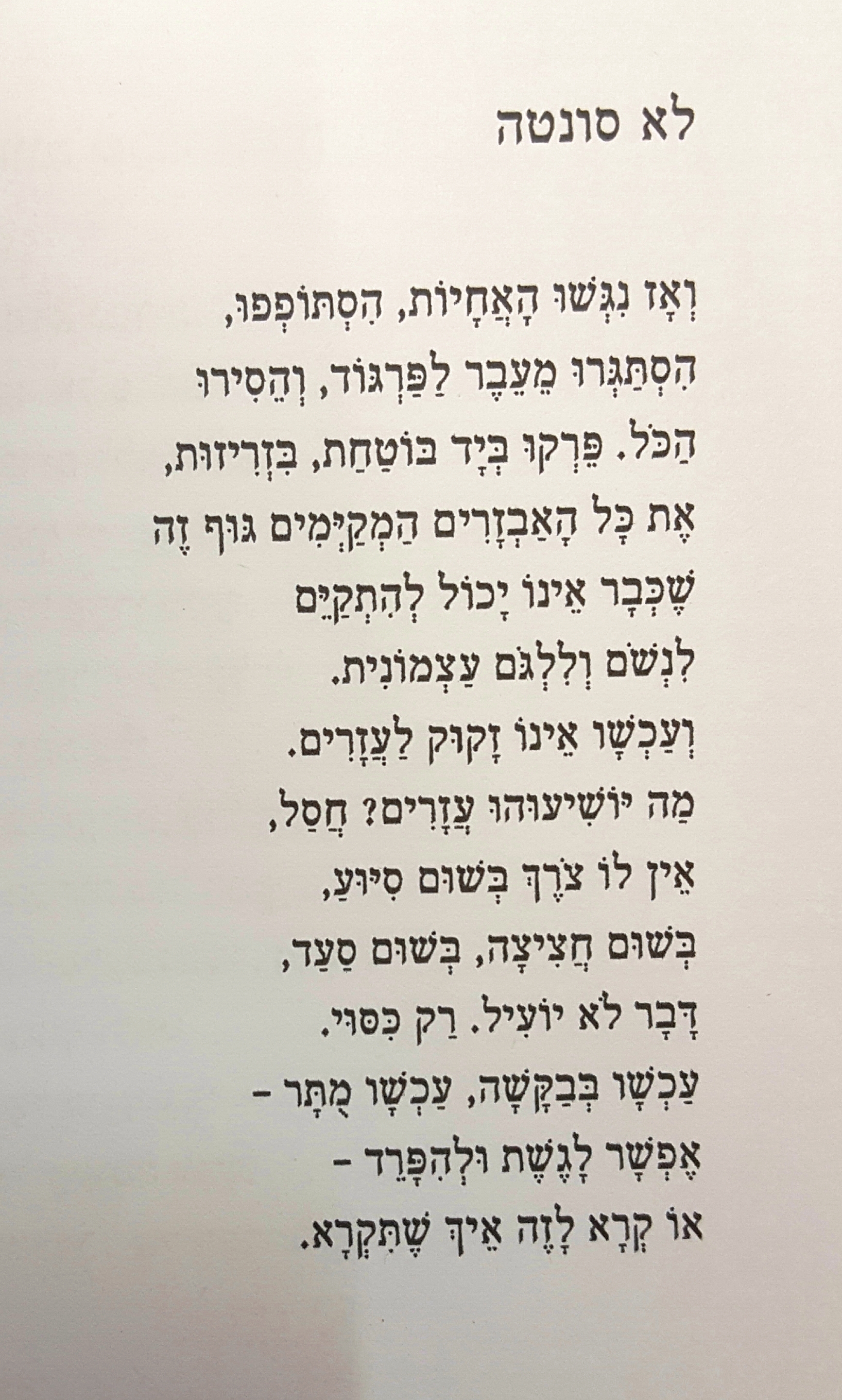 שברי שיר מול ימפה