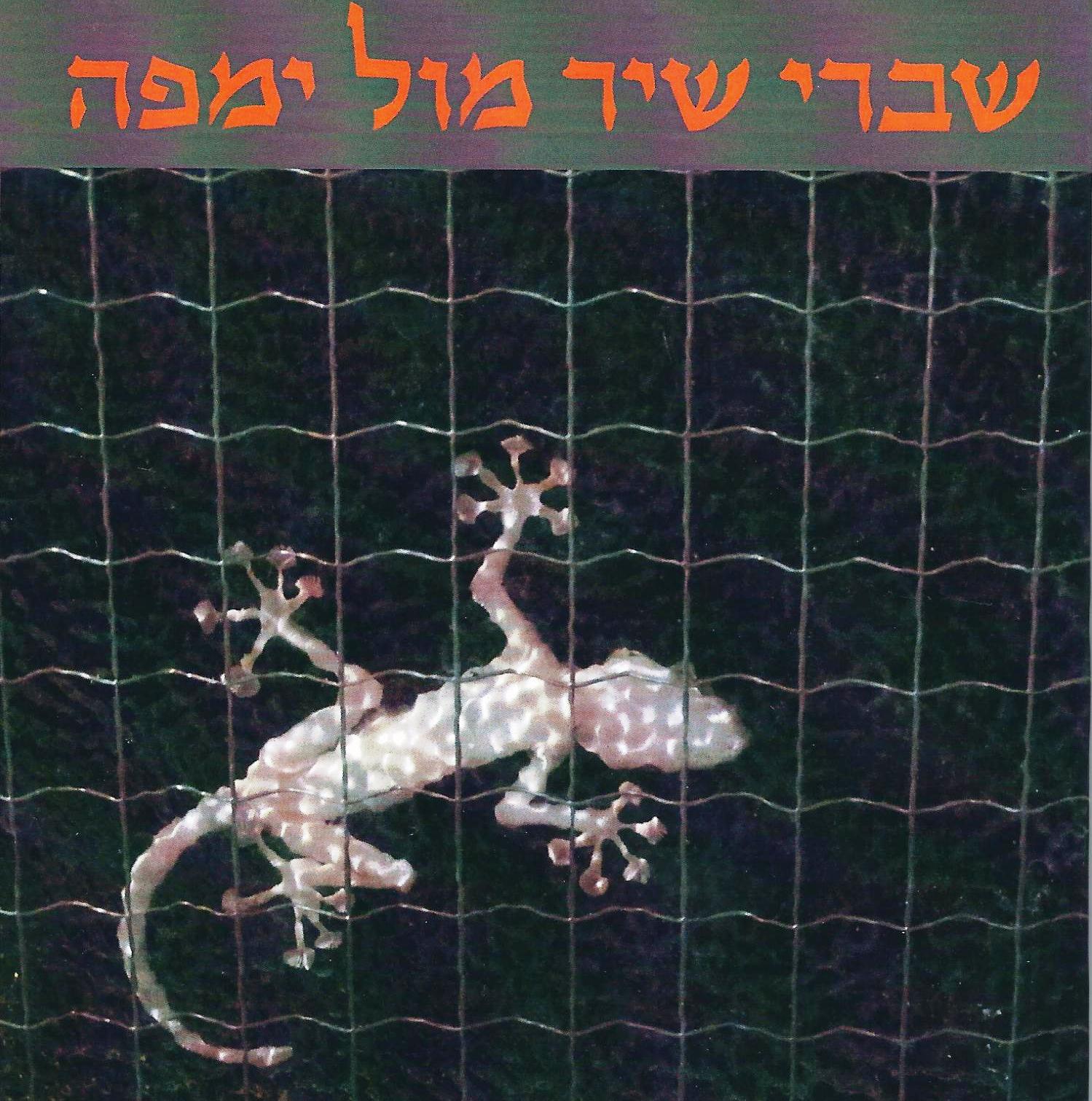 שברי שיר מול ימפה