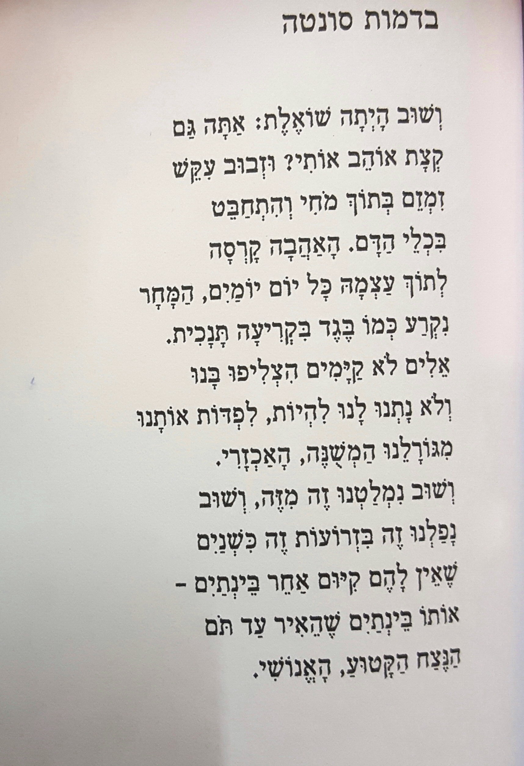 שברי שיר מול ימפה