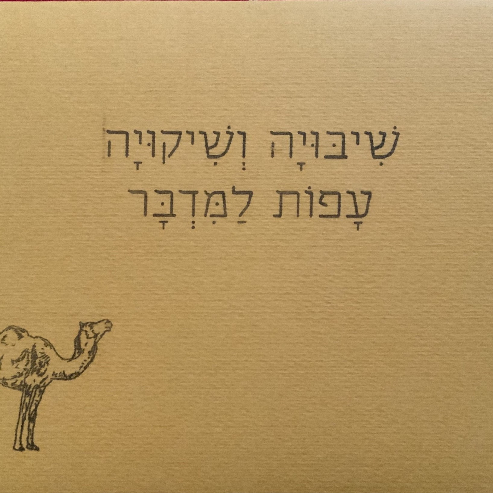 שיבויה ושיקויה עפות למדבר