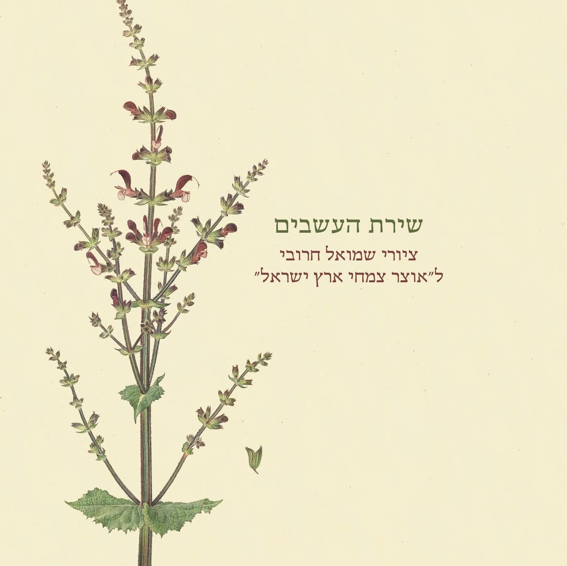 שירת העשבים ציורי שמואל חרובי