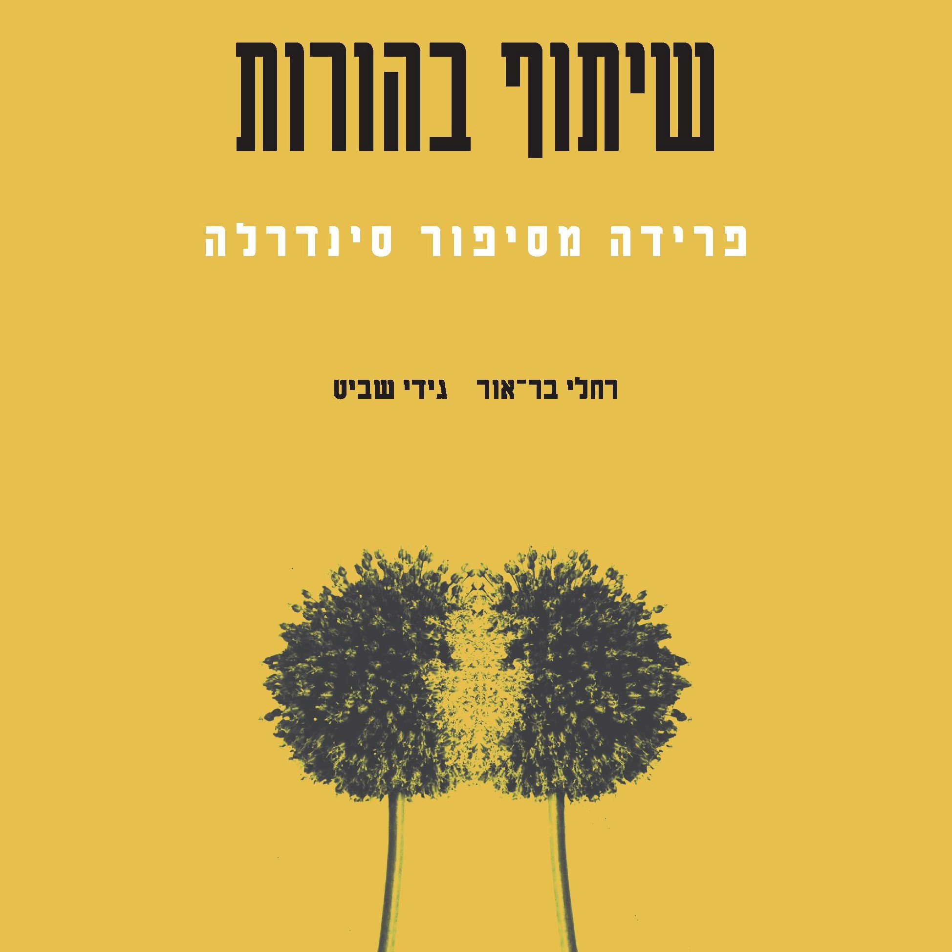 שיתוף בהורות פרידה מסיפור סינדרלה