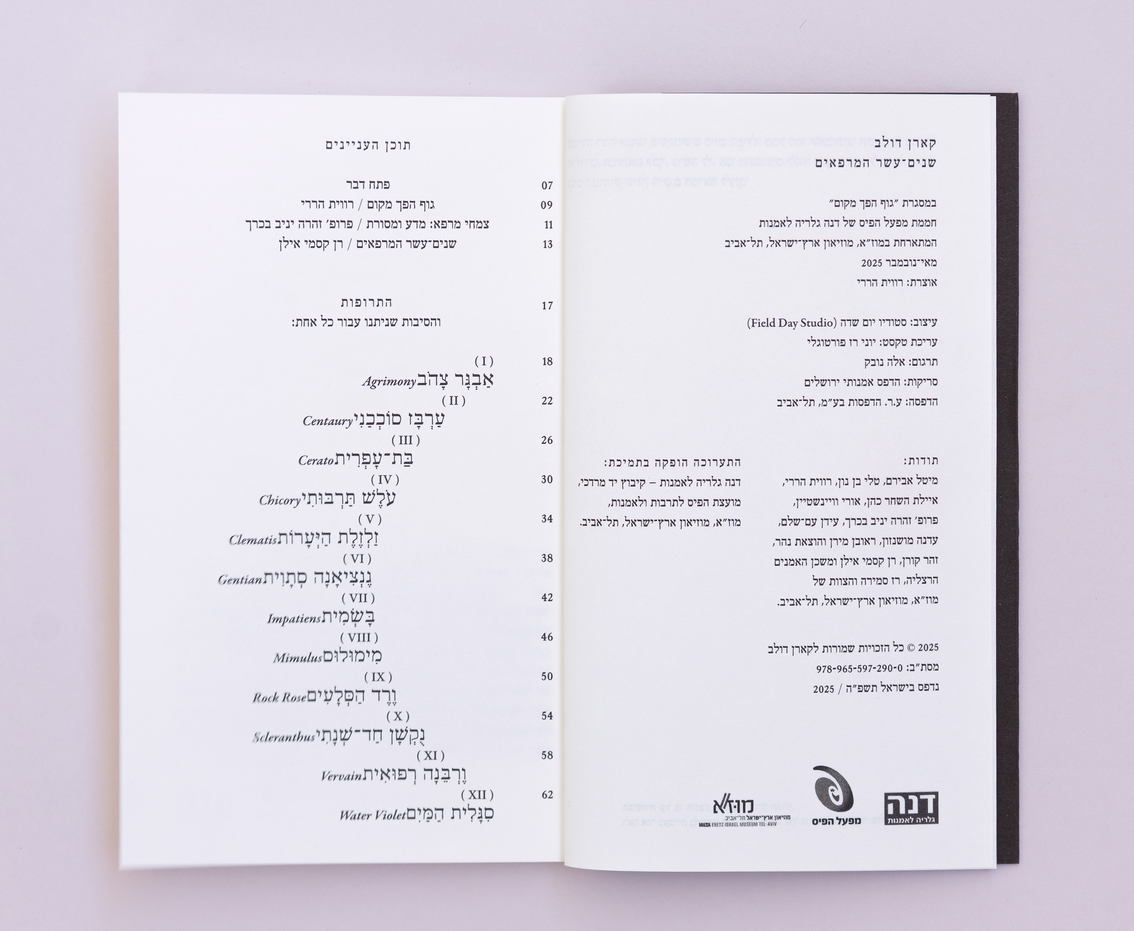שניים־עשר המרפאים