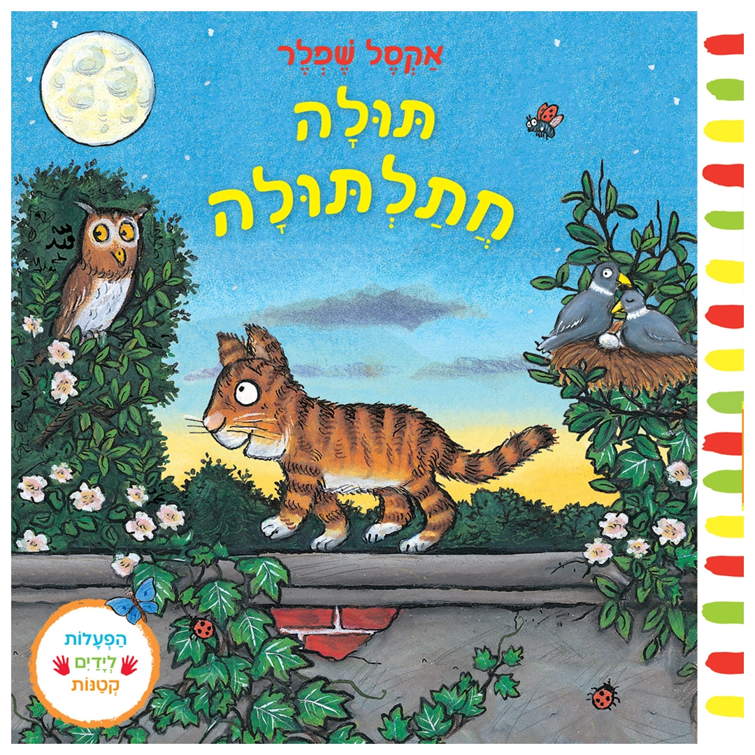 תולה חתלתולה – קרטון