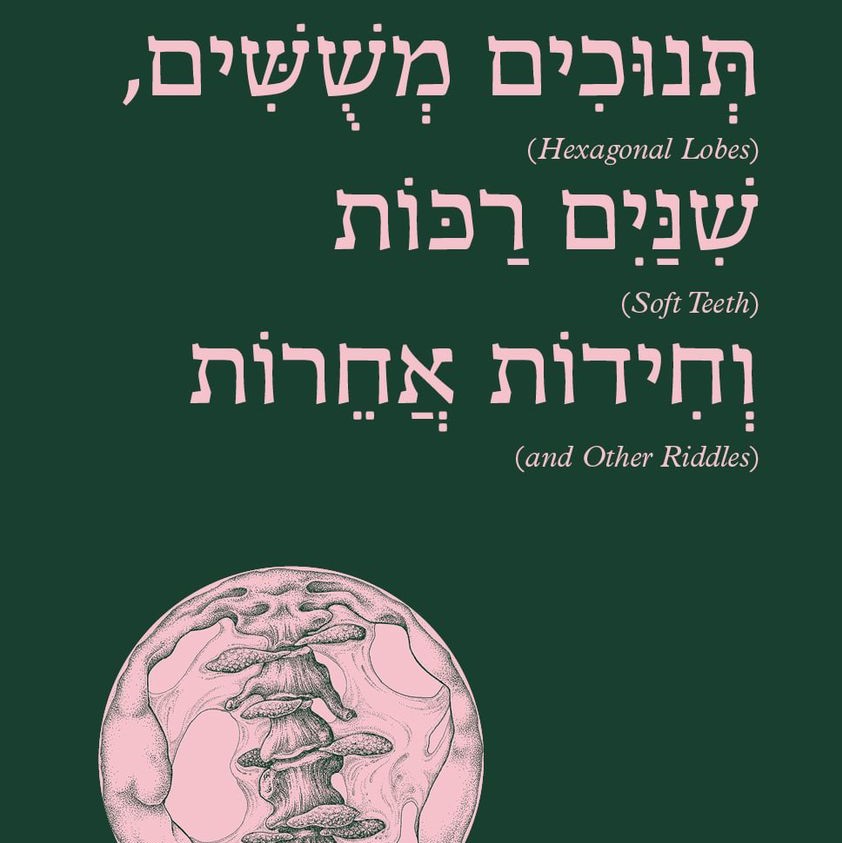תנוכים משושים, שיניים רכות וחידות אחרות