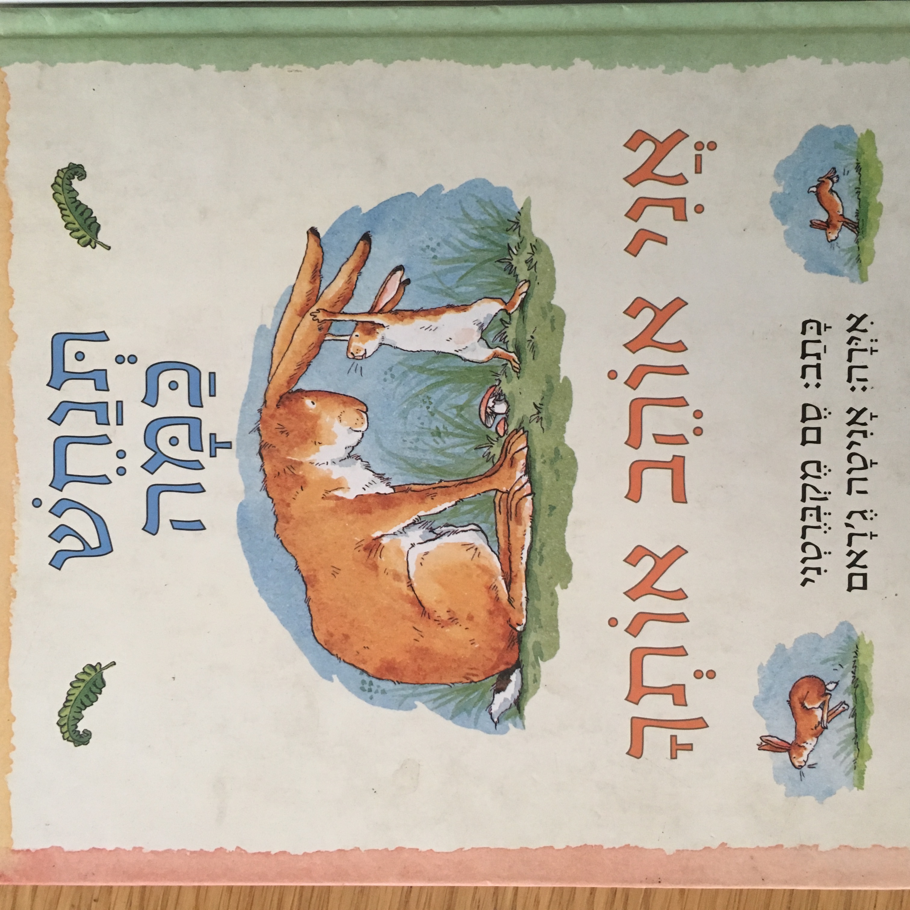תנחש כמה אני אוהב אותך ספר קשיח