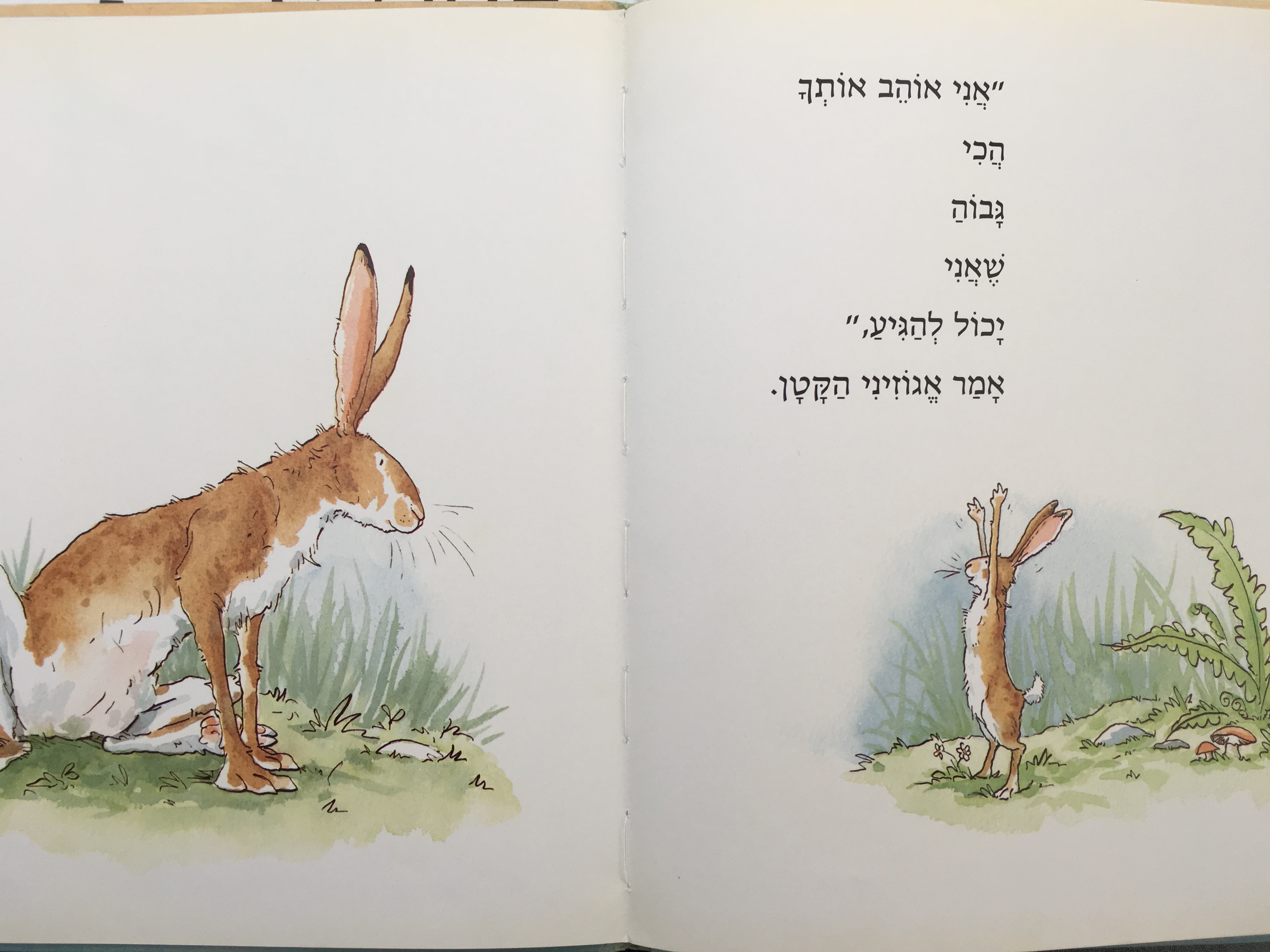 תנחש כמה אני אוהב אותך