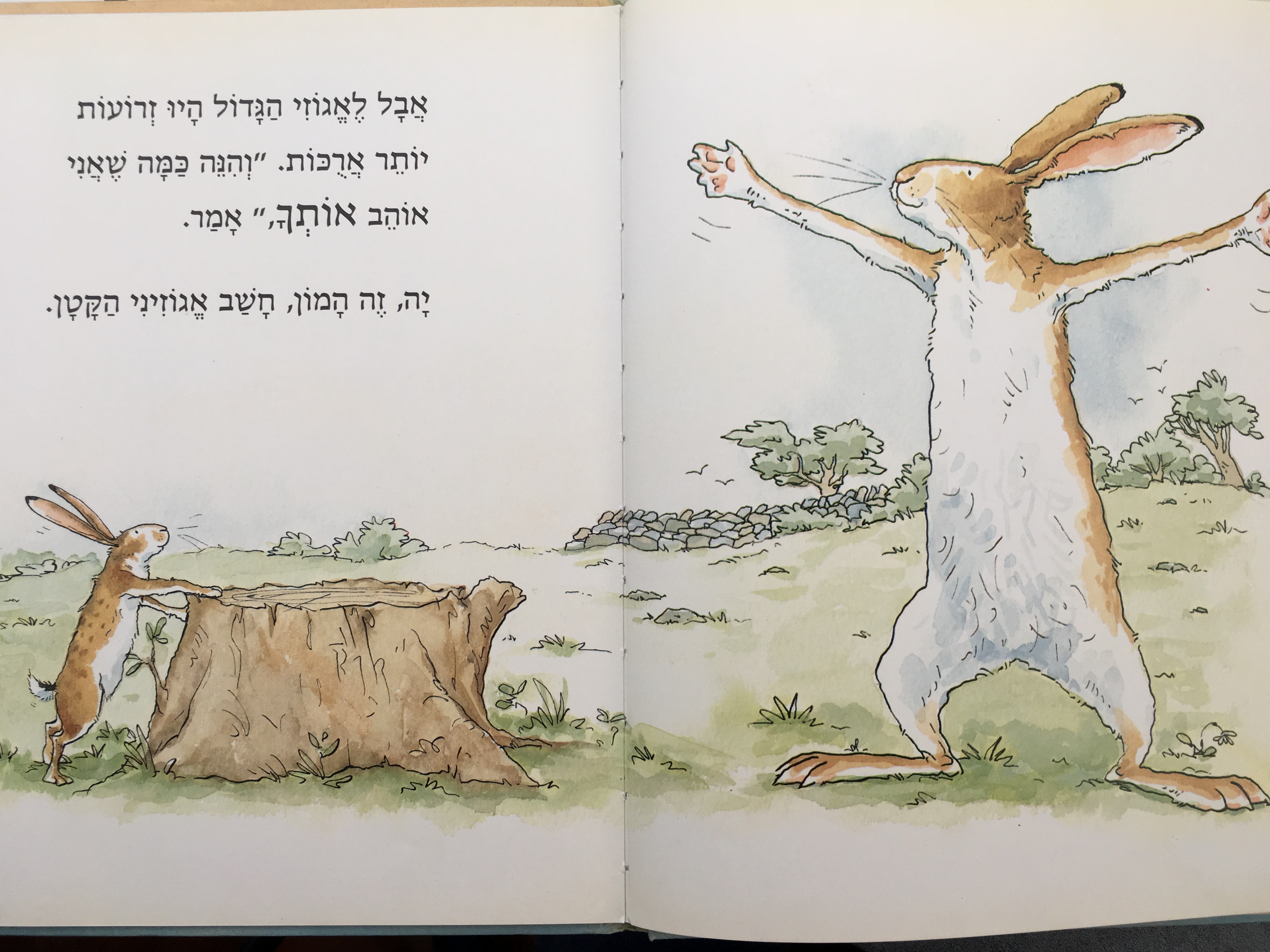 תנחש כמה אני אוהב אותך