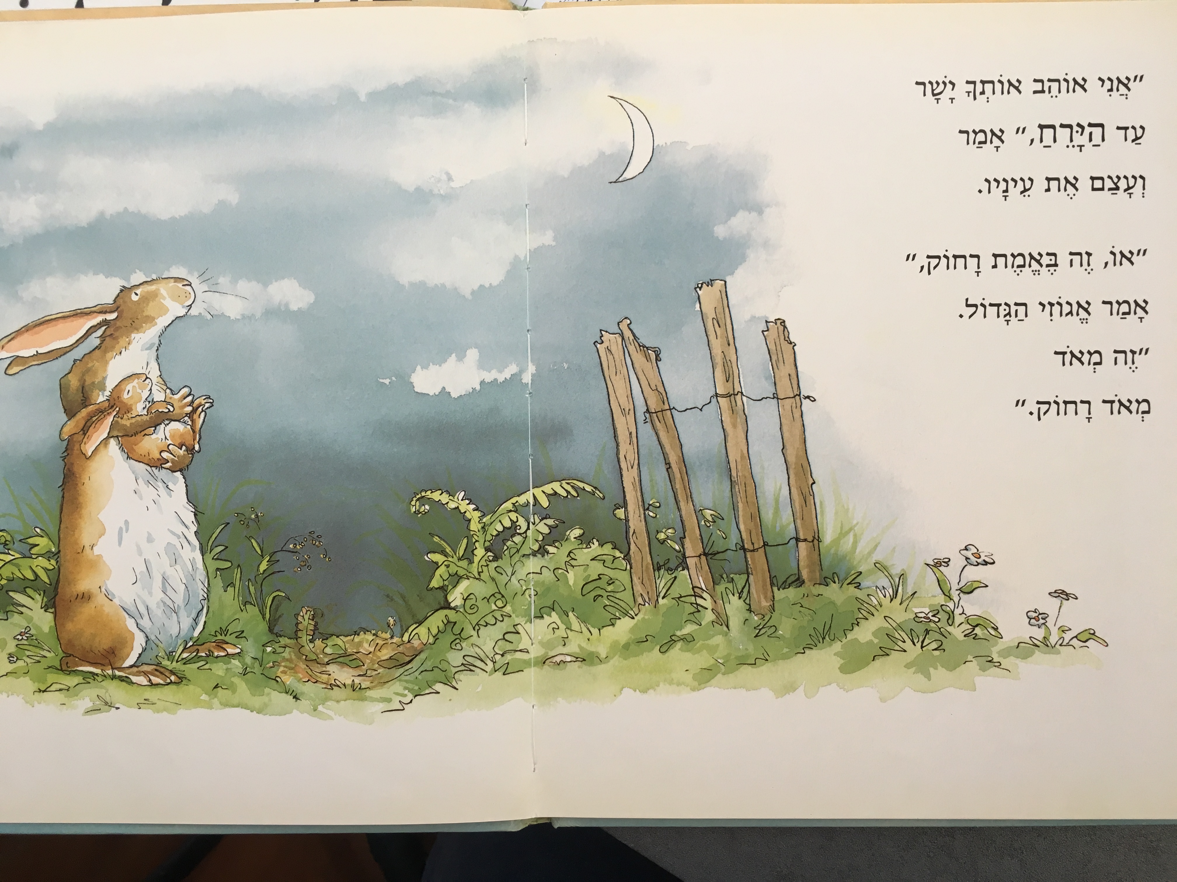 תנחש כמה אני אוהב אותך