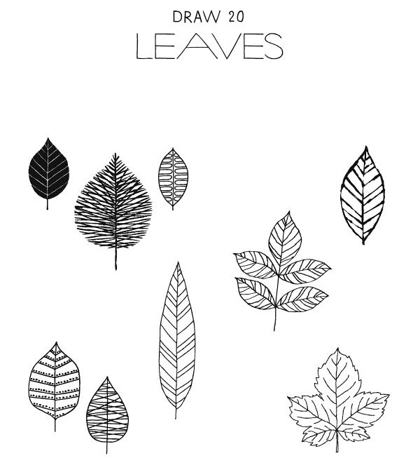 Twenty Ways to Draw a Tree