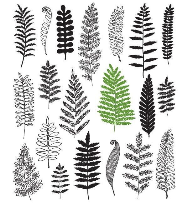 Twenty Ways to Draw a Tree