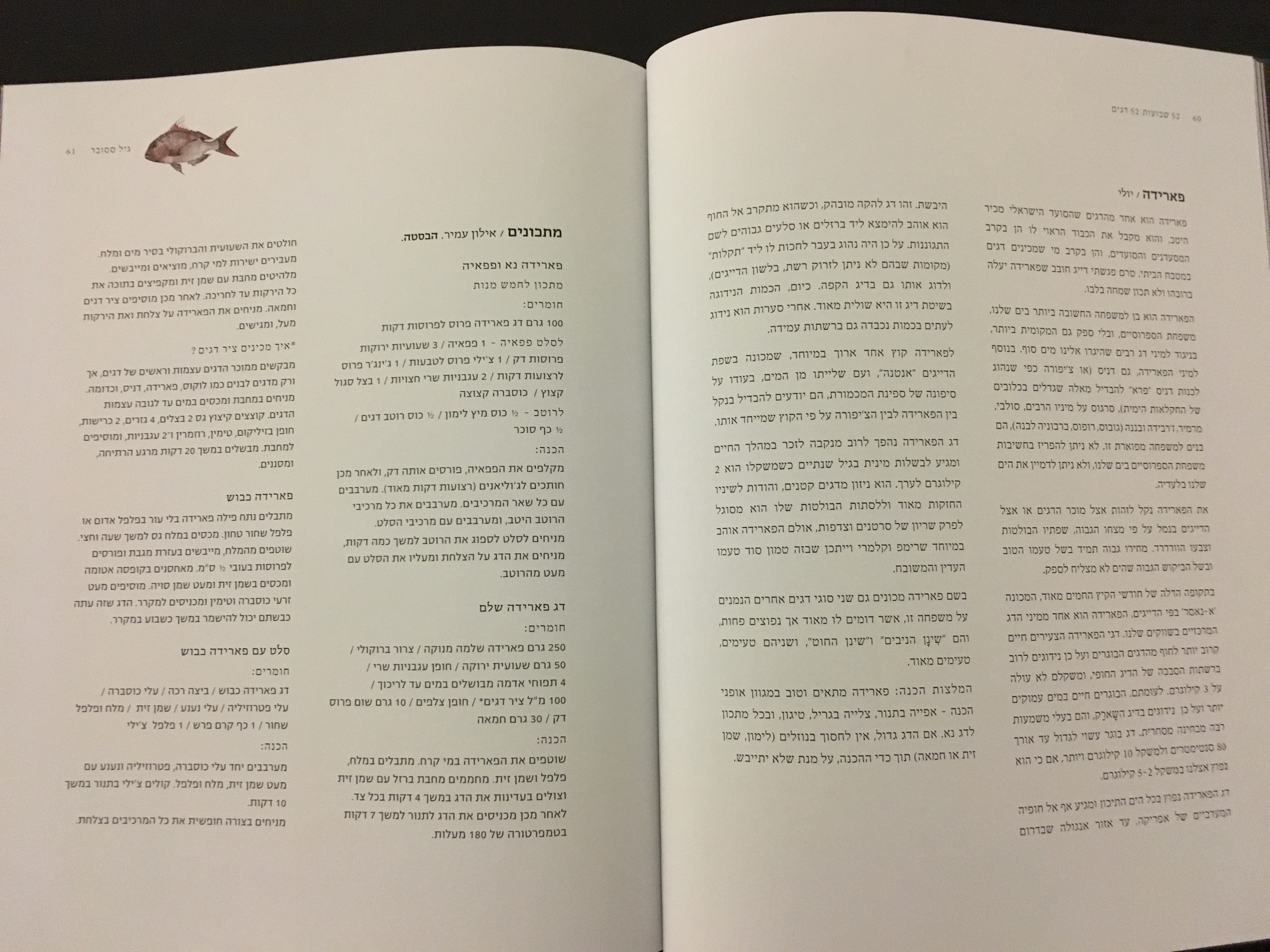 52 שבועות 52 דגים