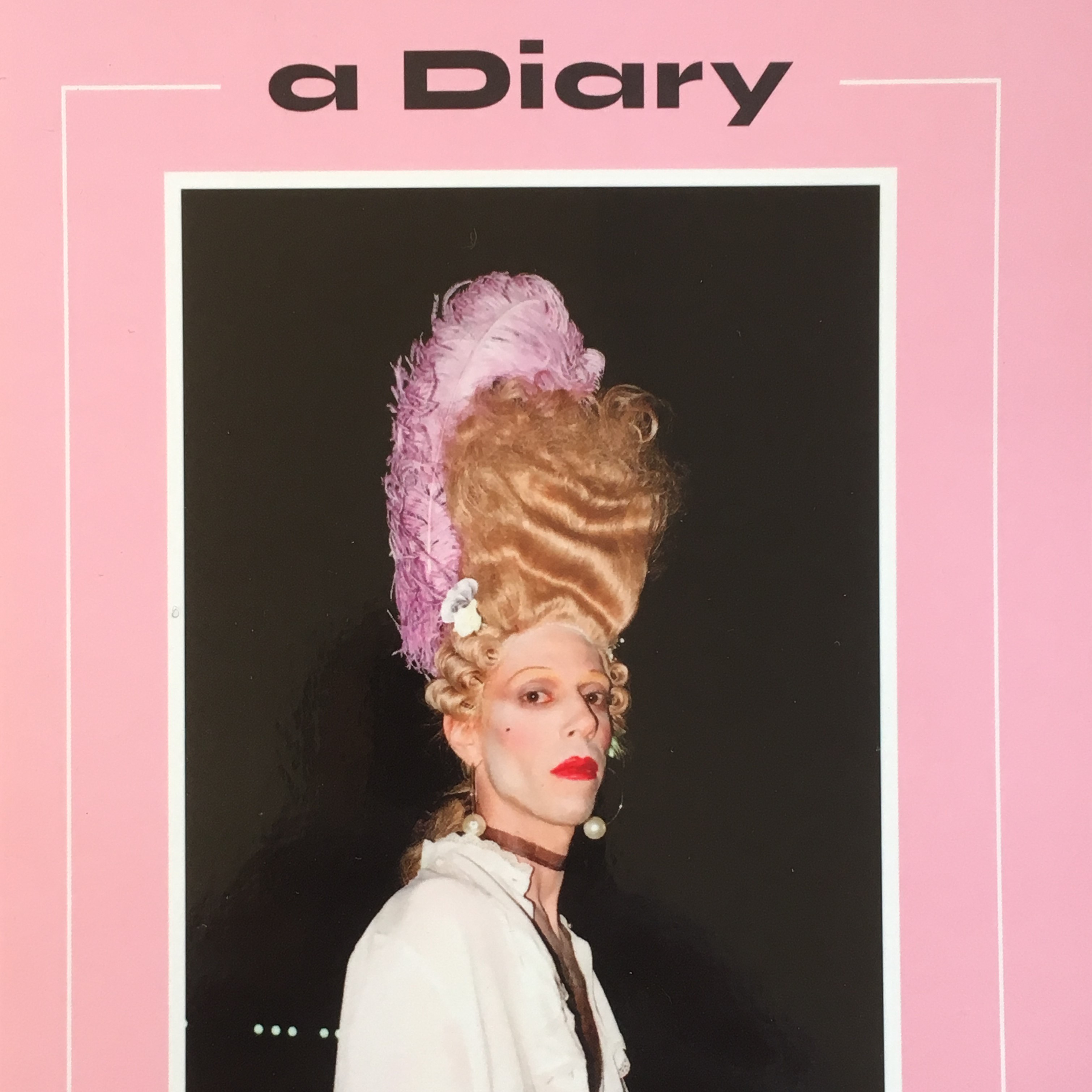 a Diary