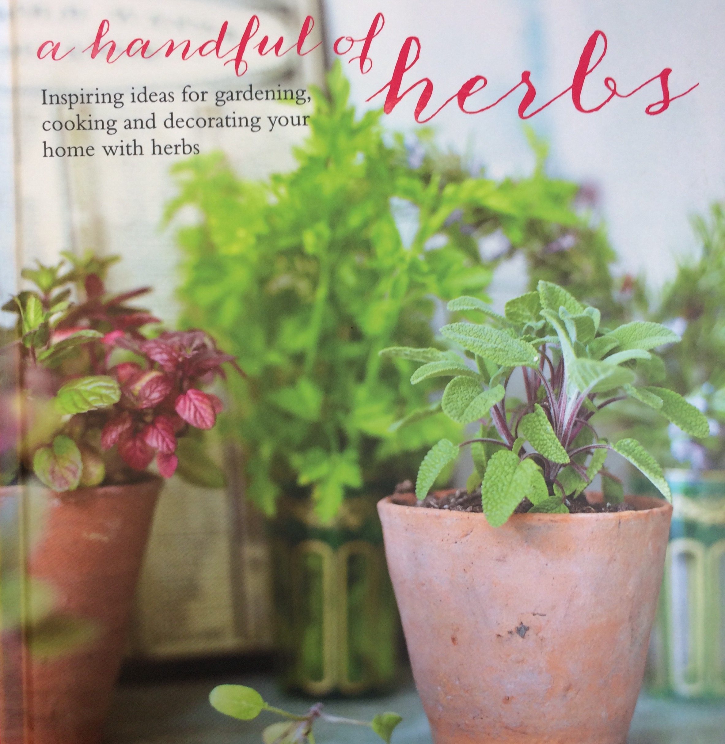 A Handful of Herbs