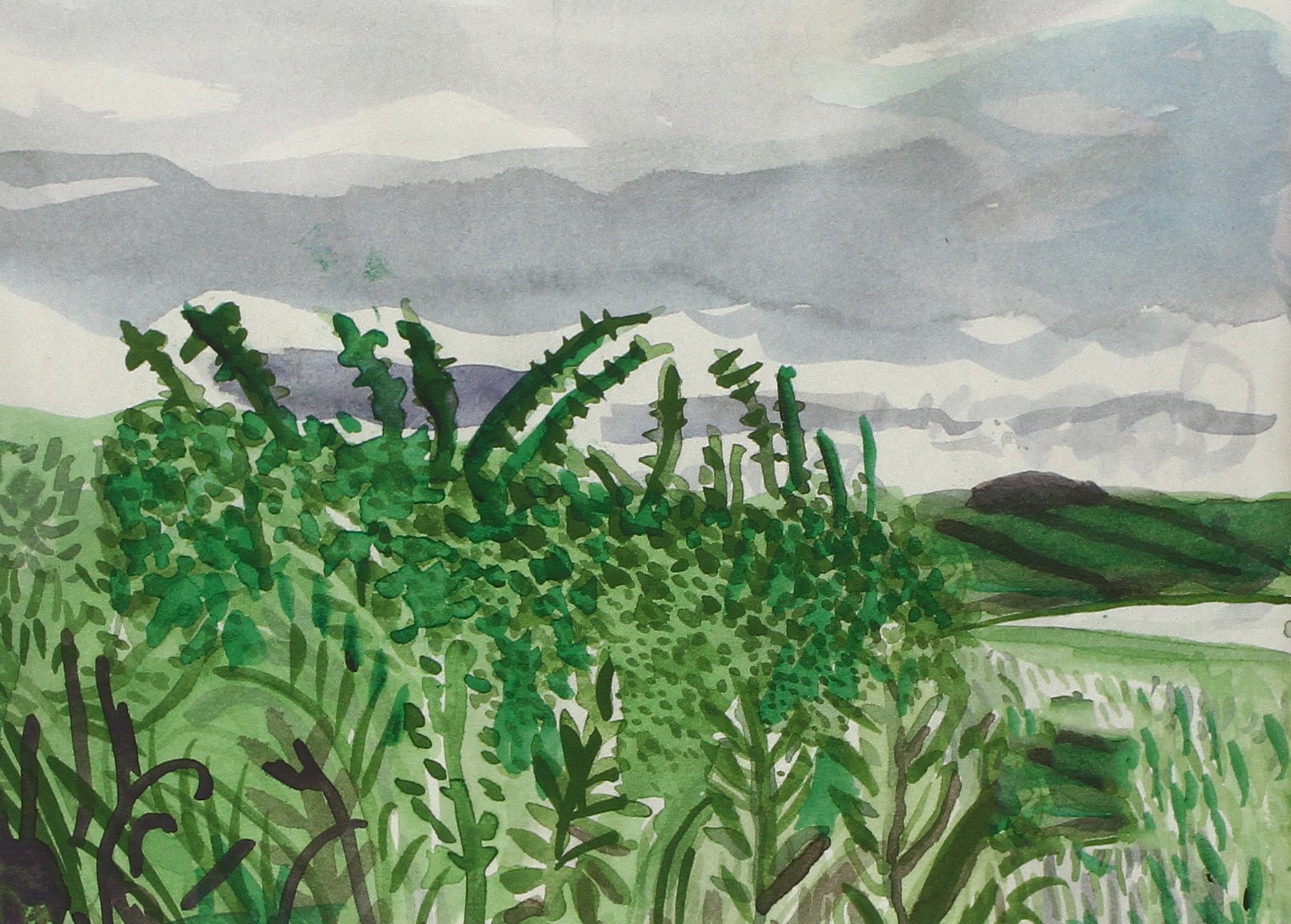 A Yorkshire Sketchbook
